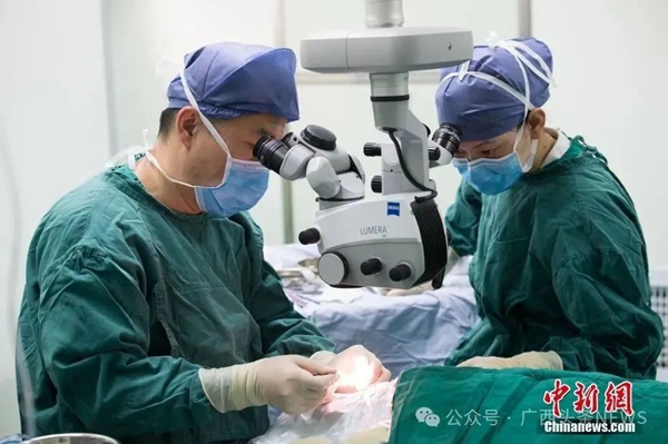 2025 ??? ??? ?? ???? ?? ??? ??