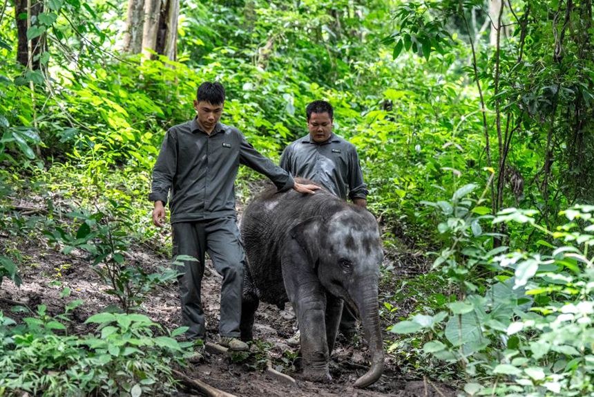 中 ?? ?????? ???, ??? ?? ?? ??