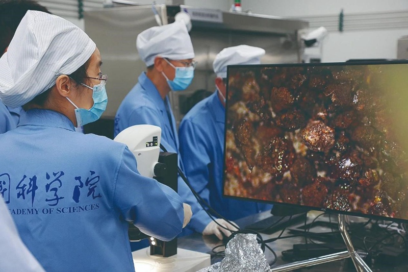 ????? ????? ???? ?? ??? ??? ??? ???? ??. [?? ??: ????? ?????]