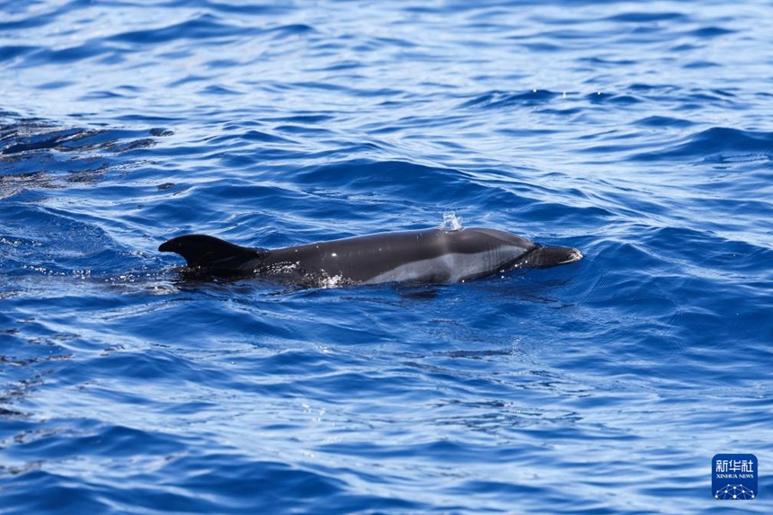 ??? ‘??’? ??? ?? ? ???? ???? ???? ??. [9? 14? ??/?? ??: ???]