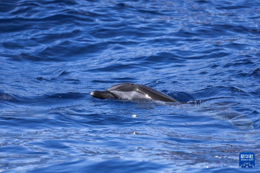 ???? ?? ??? ‘??’, ?? ???!