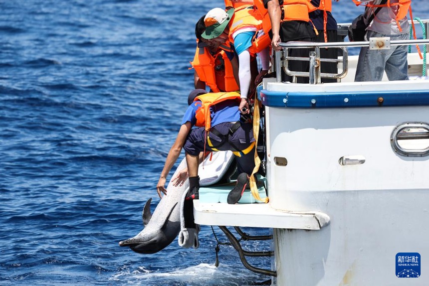 ?? ???? ??? ‘??’? ??? ???? ??. [9? 14? ??/?? ??: ???]