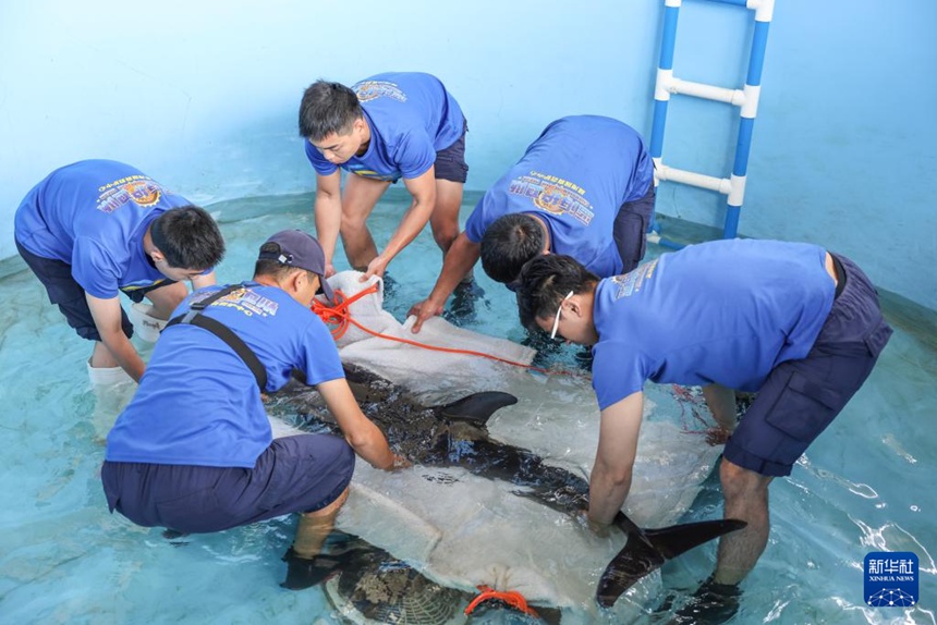 ?? ???? ??? ???(陵水)? ??? ?? ???? ??? ‘??’? ???? ??? ??. [9? 14? ??/?? ??: ???]