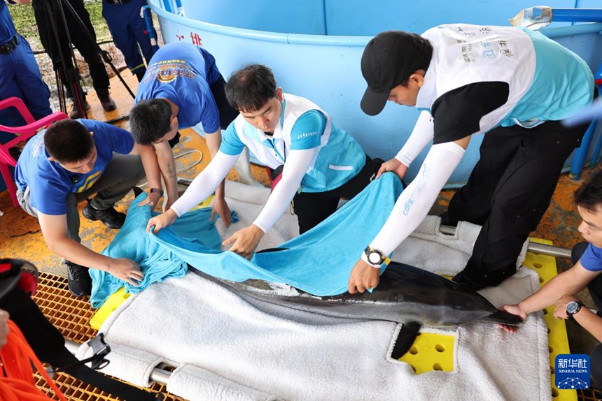 ?? ???? ??? ‘??’? ?? ??? ?? ?? ??? ???? ??. [9? 14? ??/?? ??: ???]