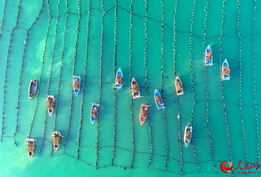 ??? ??? ???? ?? ? ????? ???? ??? ??? ?? ???? ??.