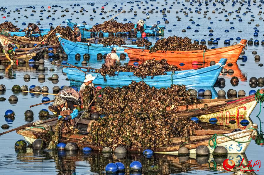 ??? ??? ???? ?? ? ????? ???? ??? ??? ?? ???? ??.