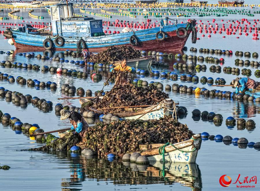 ??? ??? ???(愛倫)? ?? ? ????? ???? ??? ??? ?? ???? ??.