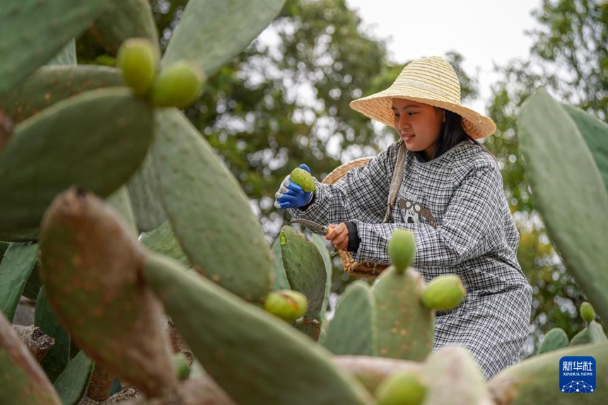 ?? ??? ??? ??? ?? ??. [8? 7? ??/?? ??: ???]