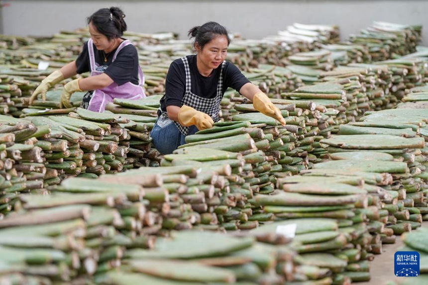 ?? ???? ??? ?? ???? ??? ??. [8? 6? ??/?? ??: ???]