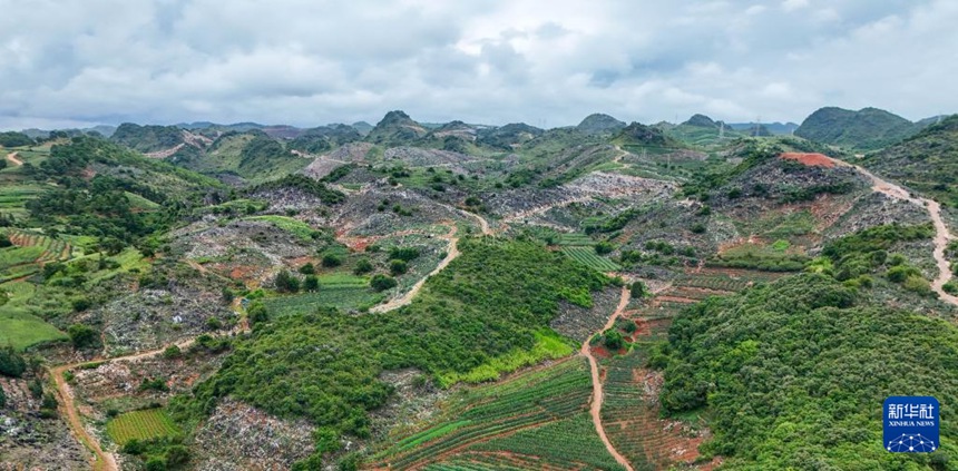 ??? ???? [8? 7? ?? ??/?? ??: ???]