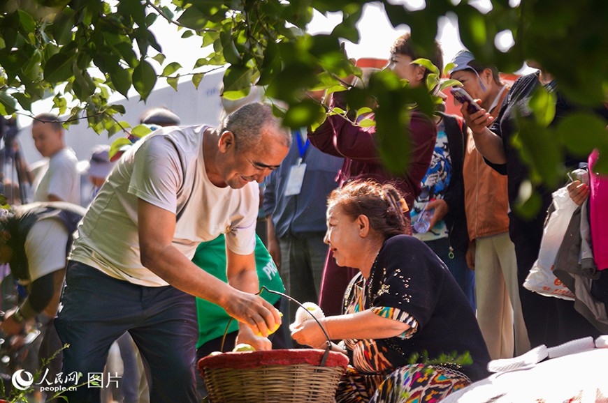 ??(新疆) ???(庫爾勒)? ???(阿瓦提)? ?? ??? ???? ???? ?? ???? ??.