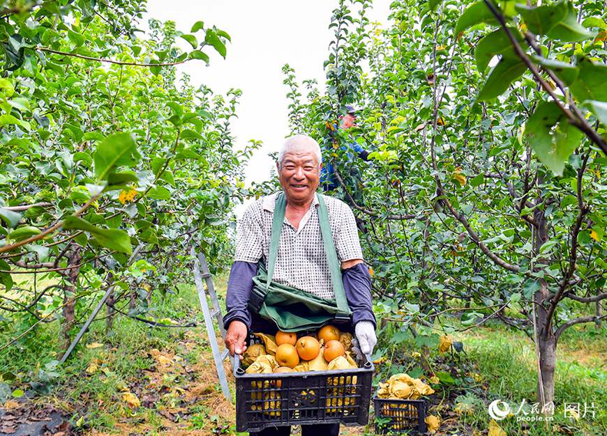 ? ???? ?? ????(雄安新區) ??(容城)? ??(南張)?? ?? ???(高宇)???? ? ????? ??? ??? ???? ??.