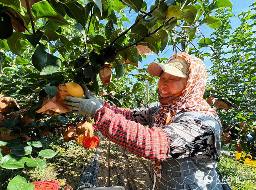 ?? ??, ??? ??…??? ??, ??? ??