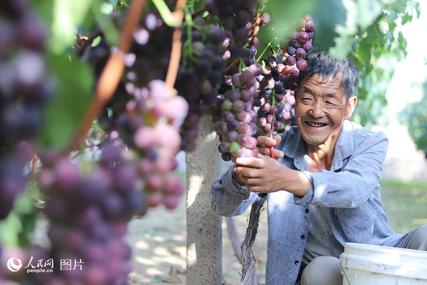 ??(甘肅)? ???(蘭州)? ???(靑石灣)??? ??? ????, ??? ? ??? ??? ????? ??? ???? ??.