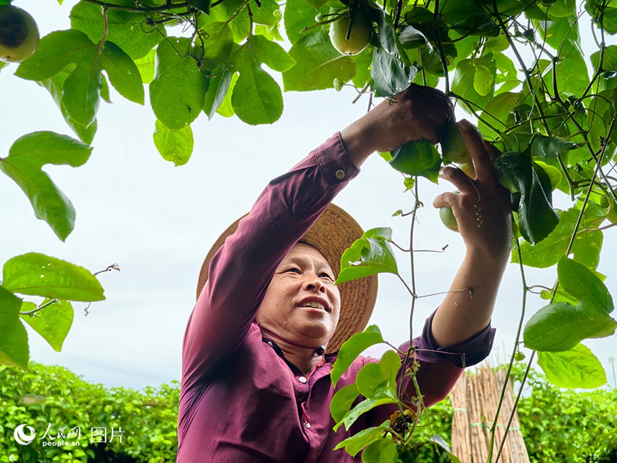 ???(海南)? ????(?？?? ??(東山)??? ?? ?? ????(古紹劉) ?? ?????? ?? ??.