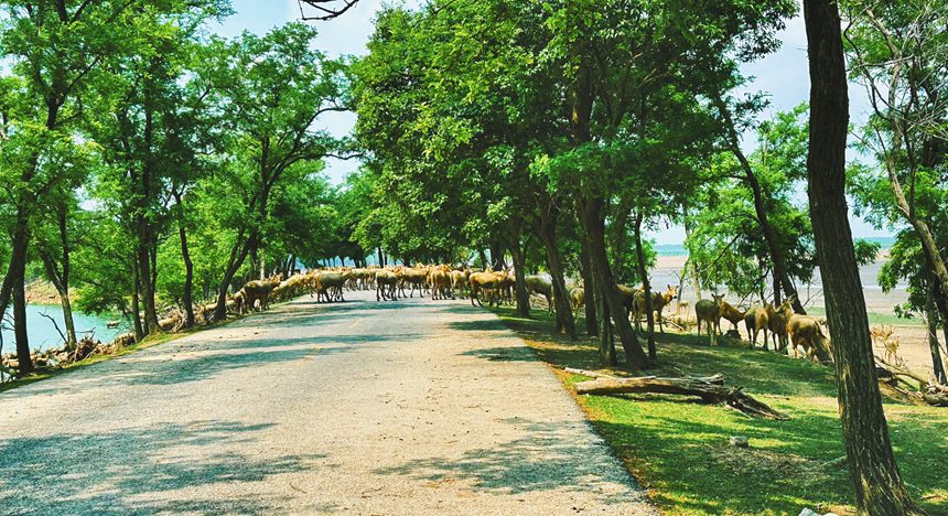 ?? ???? ?? ??? ??? ?? ???? ???? ???? ??. [?? ??: ???]