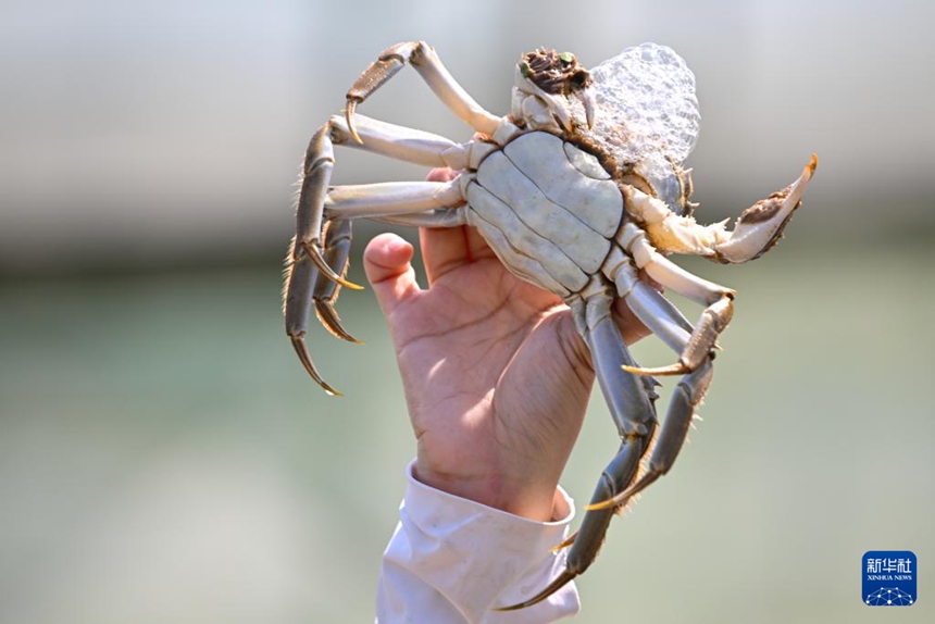 ? ????? ??? ??? ???? ???? ??. [?? ??: ???(王須中)]