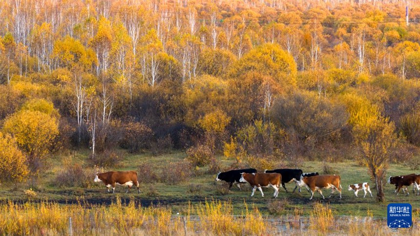 ????(額爾古納)? ??(恩和) ????(俄羅斯族, ????) ????? ? ??? ??? ?? ?? ? ? [9? 25? ?? ??/?? ??: ???]