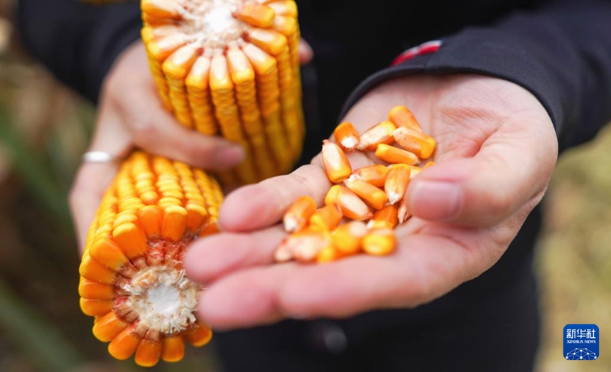 ???? ??? ?? ?? ??? ?? ??? ???? ??. [10? 9? ??/?? ??: ???]