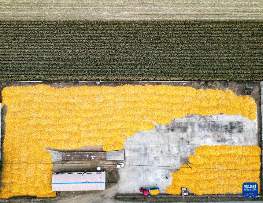 ??? ??? ?? ?? ????? ??? ??? [10? 9? ?? ??/?? ??: ???]