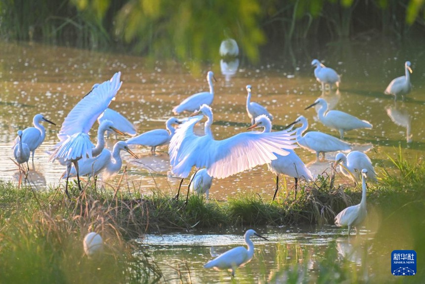 ???? ?????? ?? ?? [9? 29? ??/?? ??: ???]