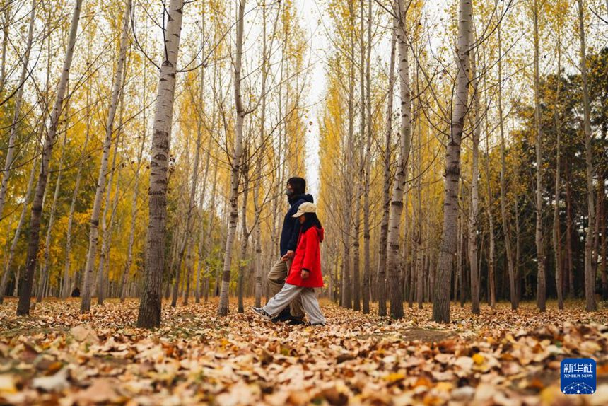 ????? ??????? ?? ??? ???? ??. [10? 12? ??/?? ??: ???]