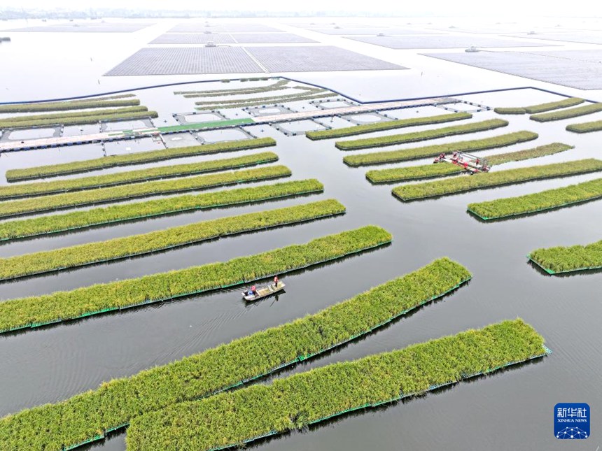 ???? ???? ???? ?? ?? ?? ?? ???? ????? ??? ?? ???? ??. [10? 14? ?? ??/?? ??: ??(陳彬)]