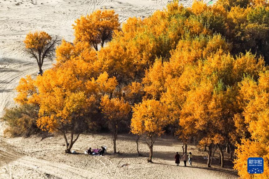 ?? ?? ?? ??? ?? ???? ? ???? ?? ???? [10? 19? ?? ??/?? ??: ???]