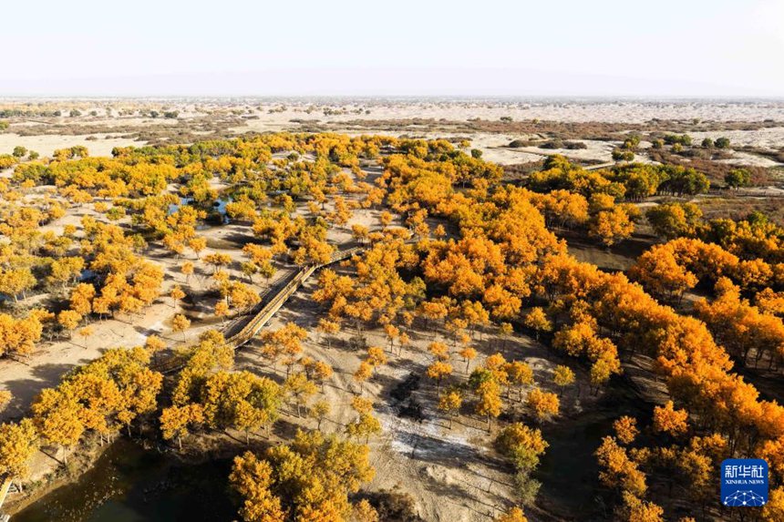 ?? ?? ?? ??(洛浦)? ??(洛濱) ???? ? ??? [10? 19? ?? ??/?? ??: ???]