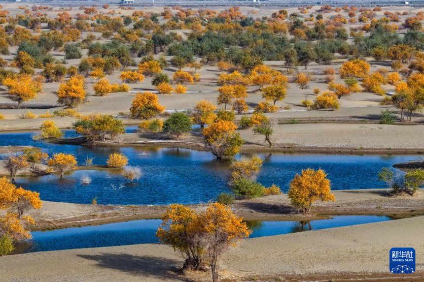 ?? ?? ?? ??? ?????? ?? ?? ???? ? [10? 20? ?? ??/?? ??: ???]