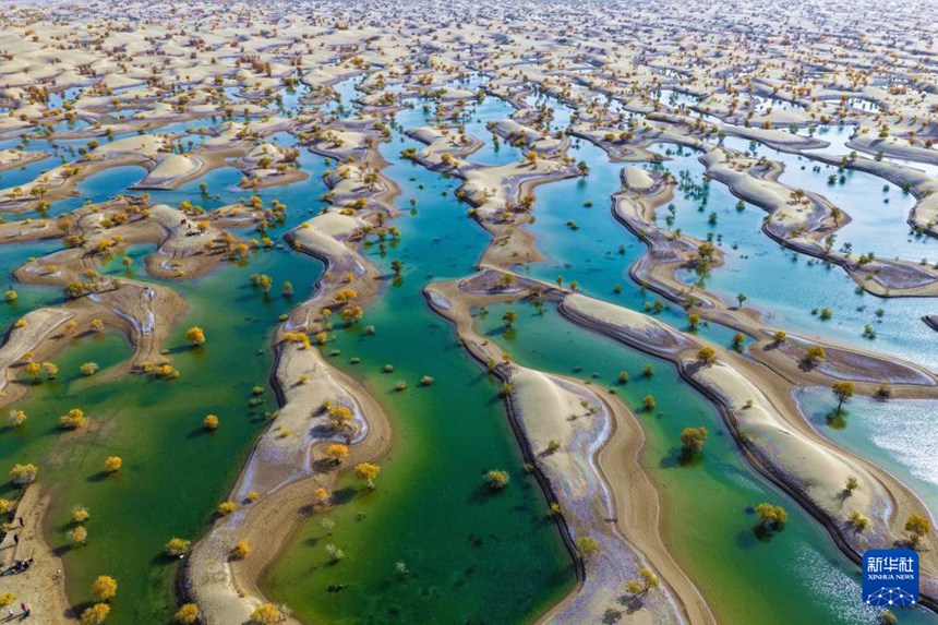 ?? ?? ?? ??? ?????? ?? ?? ???? ? [10? 20? ?? ??/?? ??: ???]