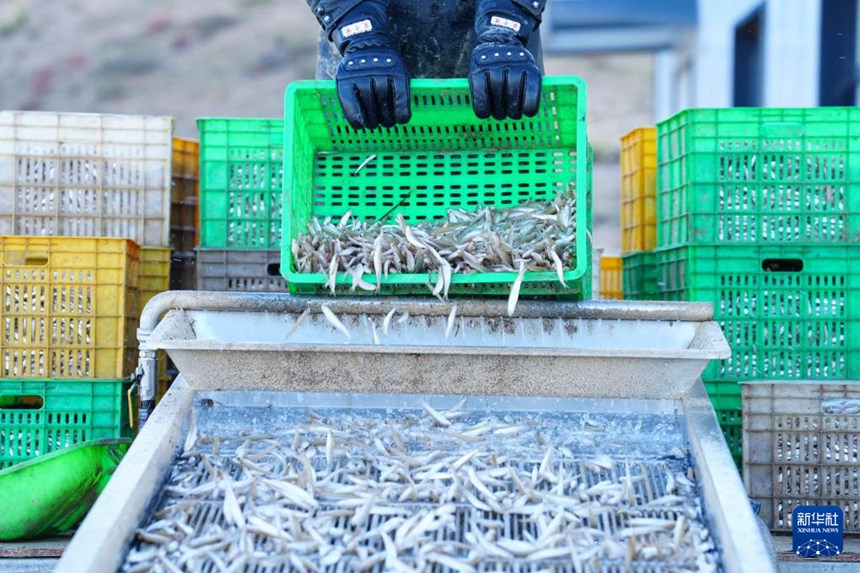 ??? ???? ??? ?????????? ???? ? ?? ??? ?? ?? ??. [10? 18? ??/?? ??: ???]