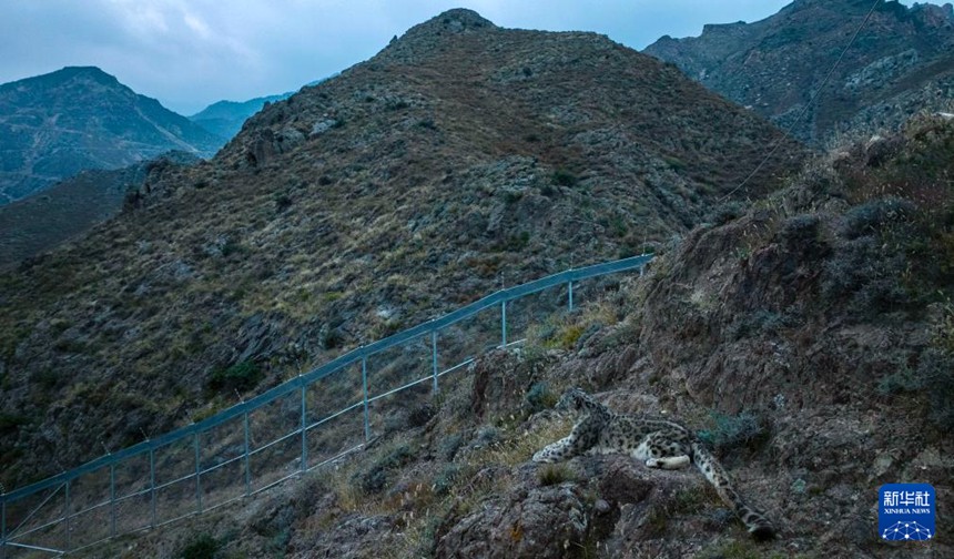 ?? ??? ??? ?? ???? ?? ??? ?? ??? ?? ???? ???? ??? ?? ??? ?? ???. [10? 24? ?? ??/?? ??: ???]