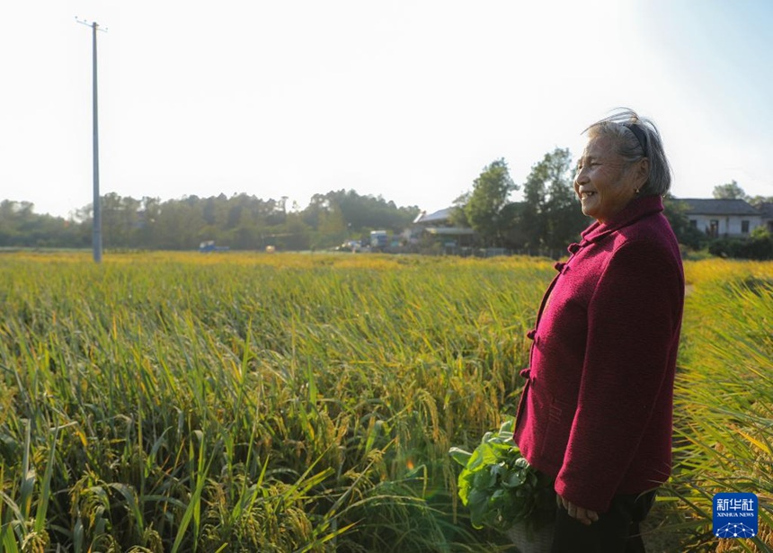 ???? ???? ??? ? ? ? ? ?? ??? ?? ???? ??? ???? ??. [10? 22? ??/?? ??: ???]