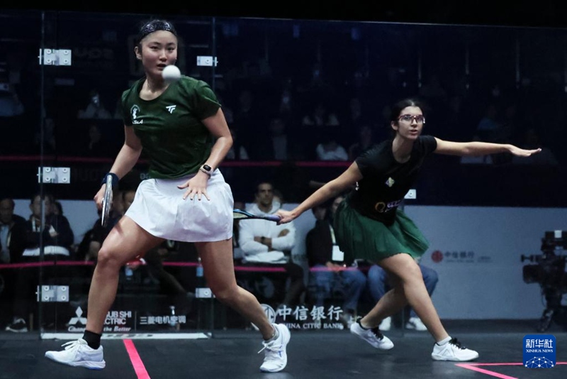 ???? ???(?)? ??? ???? ?? ?? ?? [11? 16? ??/?? ??: ???]