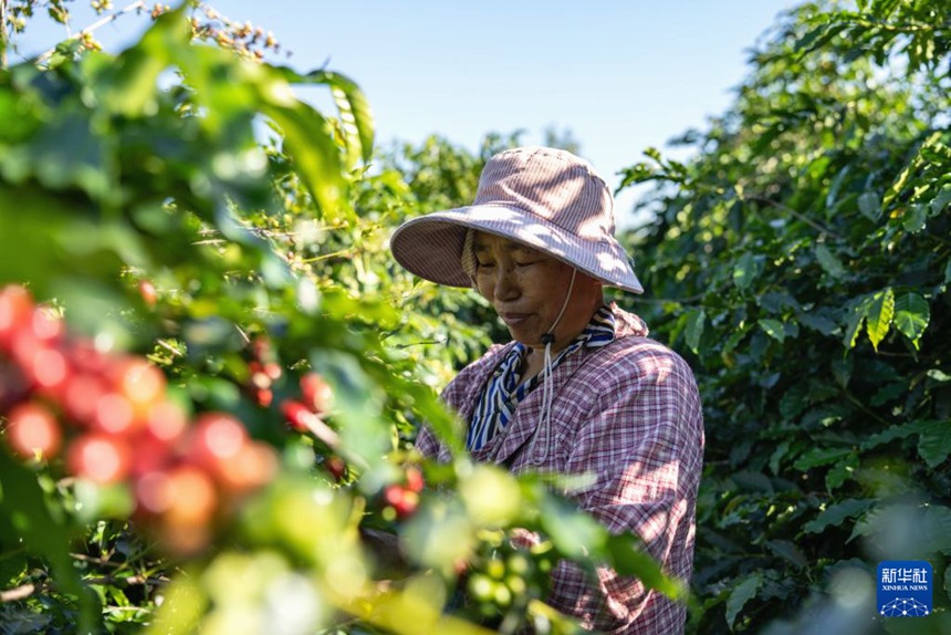 ??? ???? ??(隆陽)? ???(新寨)? ? ?? ???? ??? ?? ??? ???? ??. [11? 16? ??/?? ??: ???]