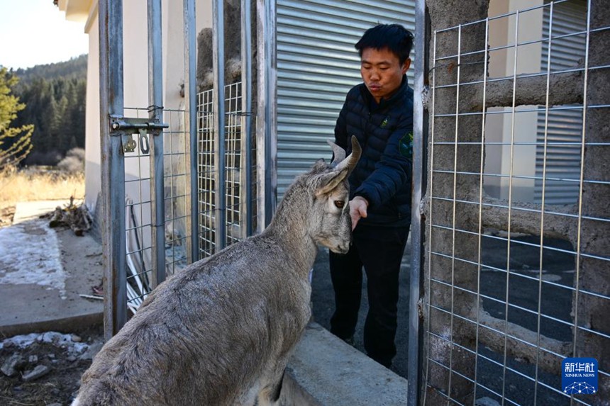 ?? ???(劉林春)? ??? ???? ???. [11? 10? ??/?? ??: ???]