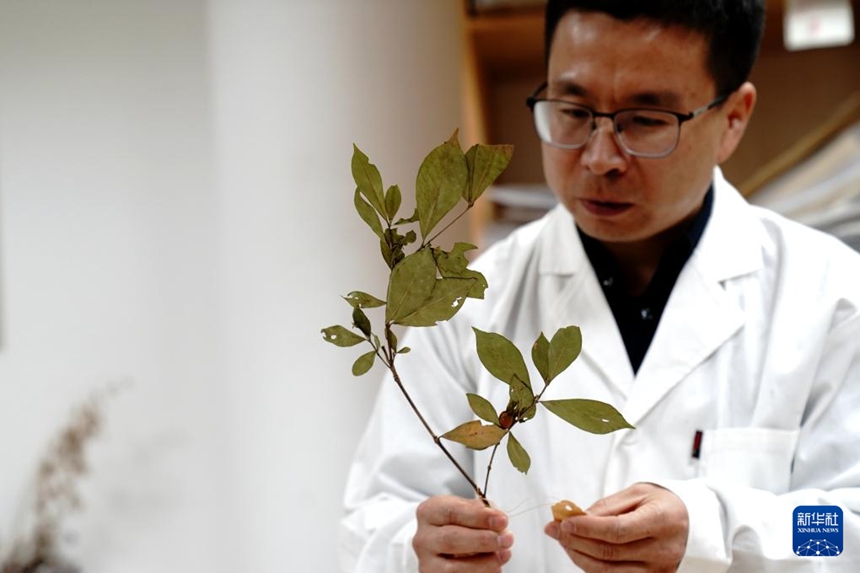 ??? ??????? ??? ??? ???? ????? ?? ?? ??? ???? ??. [11? 19? ??/?? ??: ???]