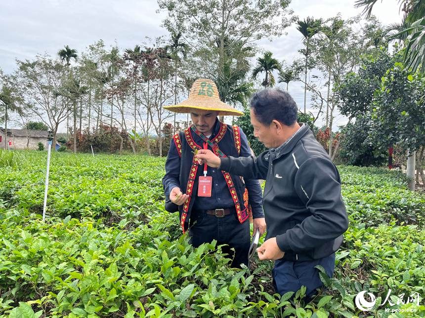 ??? ??? ??? ? ???? ???(王見君) ???? ??? ??? ?? ????? ? ? ?? ??? ???? ??. [?? ??: ???]