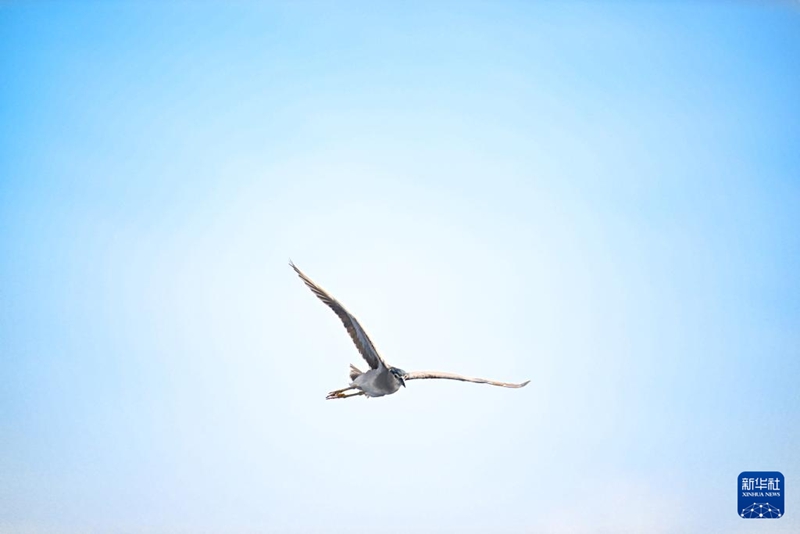 10? ???? ???? ??? ??? [?? ??: ???]