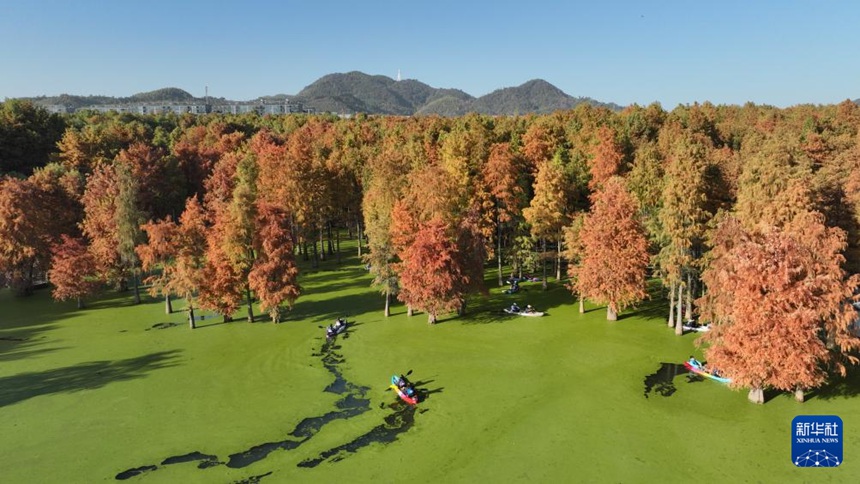 ??? ‘?? ?’?? ???? ?? ?? ???? [11? 28? ?? ??/?? ??: ???]