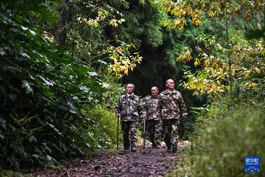 ??? ?? 44?? ?? ???? ???? ???? ??