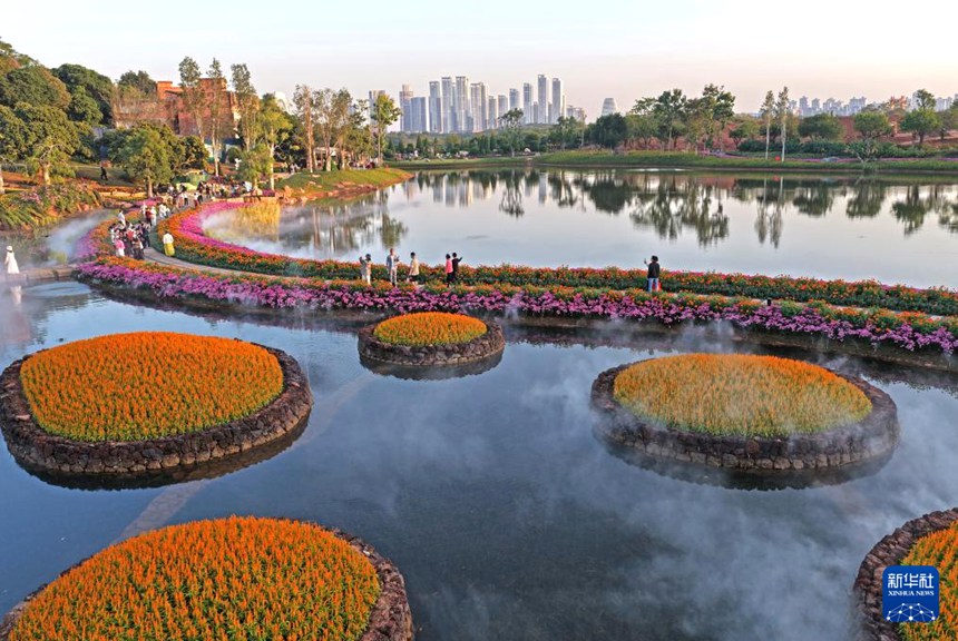 ??? ??? ?????? ?? ???? ???? [11? 26? ?? ??/?? ??: ???]