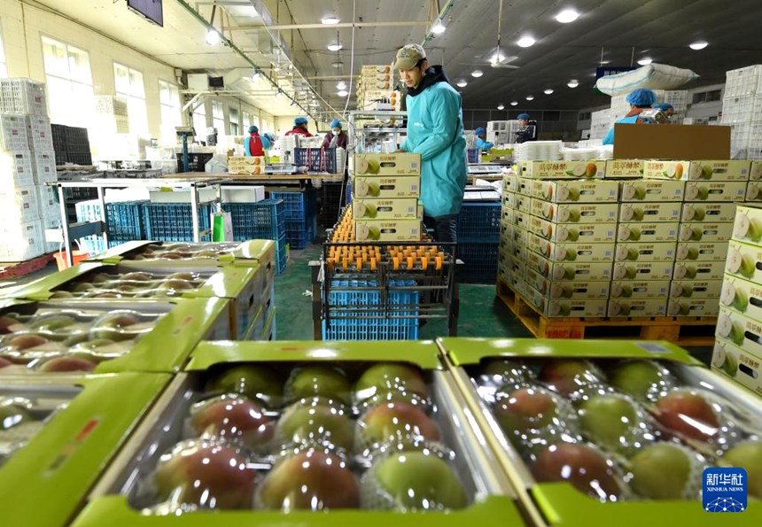 ???? ? ?? ?? ??? ? ?? ?? ???? ????? ??? ??. [12? 8? ??/?? ??: ???]