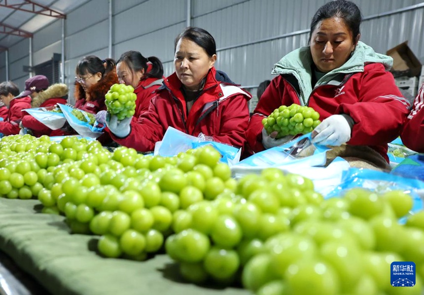 ??? ???, ?? ?? ?? ?? ??