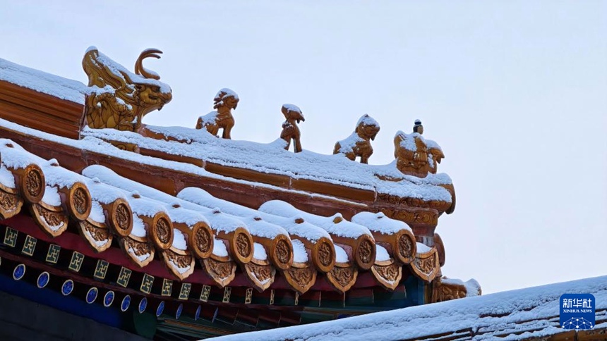 ? ?? ?? ???? [12? 13? ??/?? ??: ???]